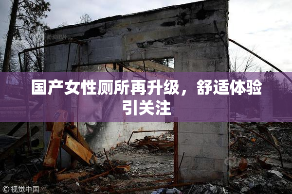 国产女性厕所再升级，舒适体验引关注