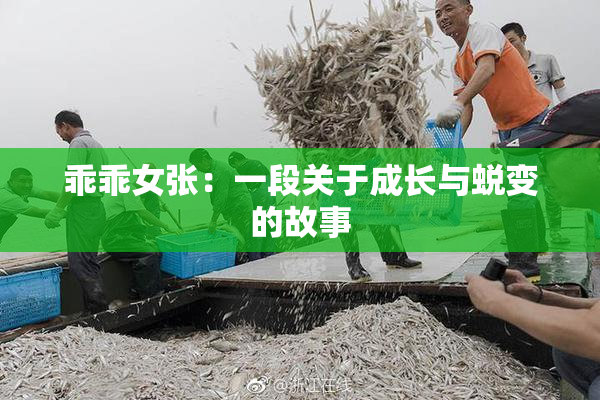 乖乖女张：一段关于成长与蜕变的故事