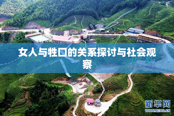 女人与牲囗的关系探讨与社会观察