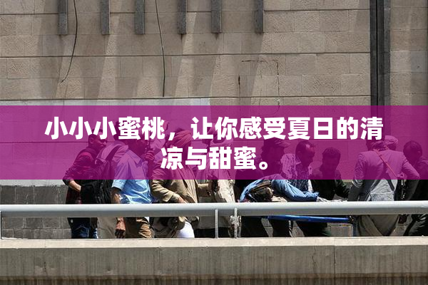 小小小蜜桃，让你感受夏日的清凉与甜蜜。