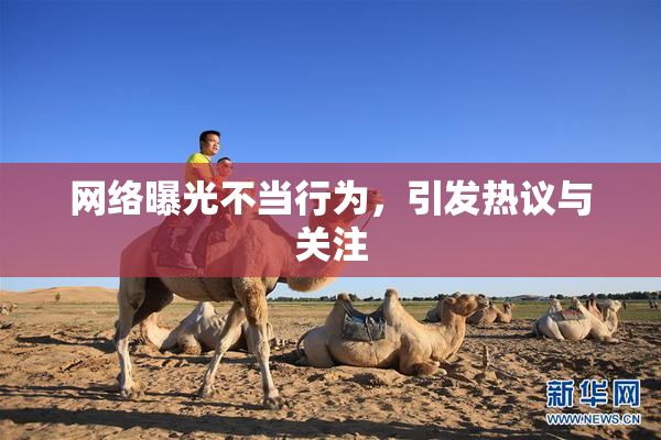 网络曝光不当行为，引发热议与关注