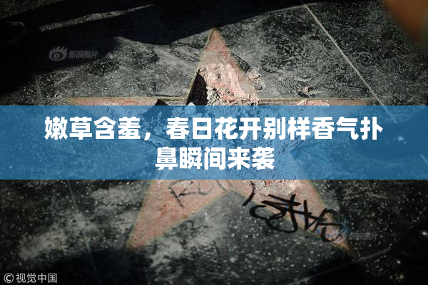 嫩草含羞，春日花开别样香气扑鼻瞬间来袭