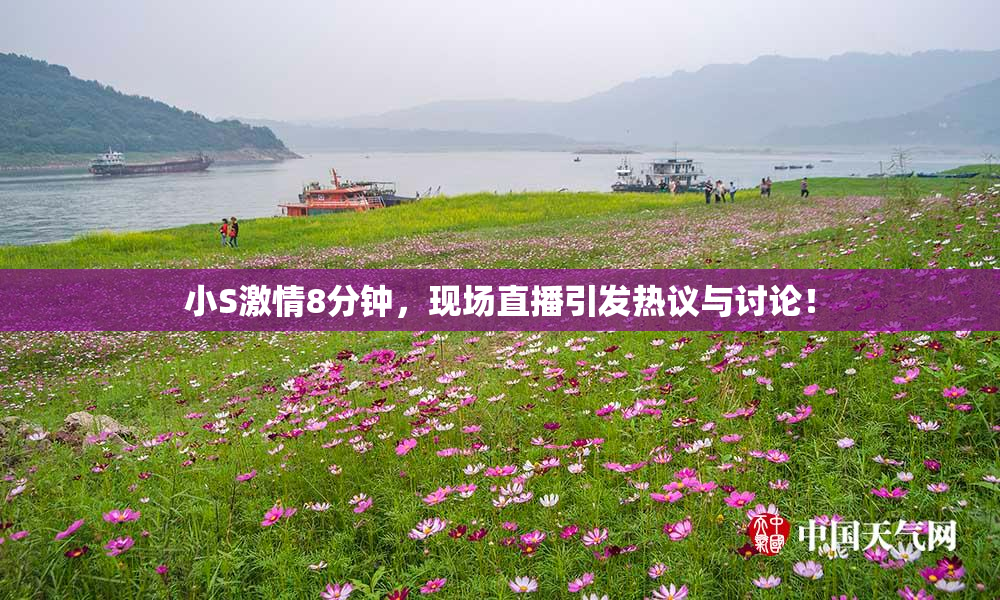 小S激情8分钟，现场直播引发热议与讨论！