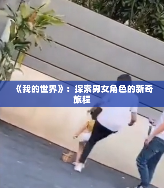 《我的世界》：探索男女角色的新奇旅程