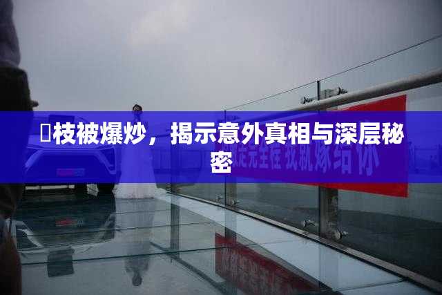 狛枝被爆炒，揭示意外真相与深层秘密