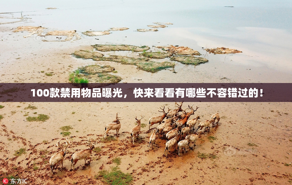 100款禁用物品曝光，快来看看有哪些不容错过的！