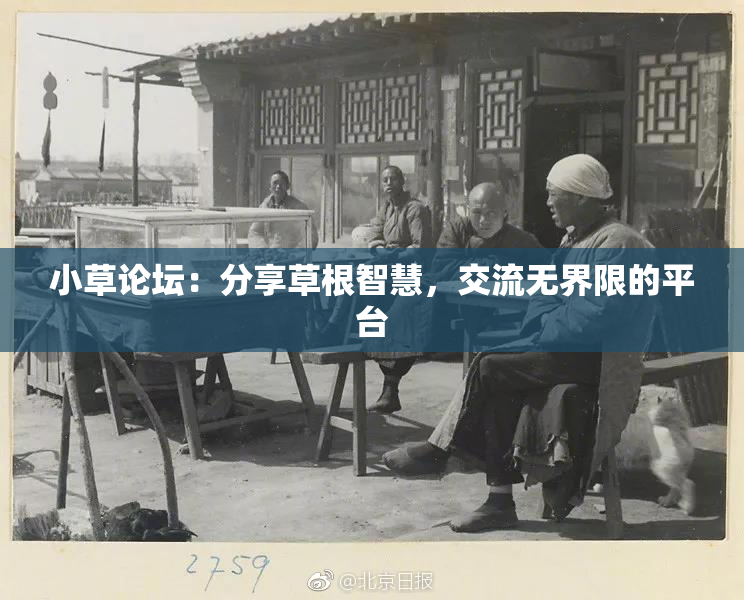 小草论坛：分享草根智慧，交流无界限的平台