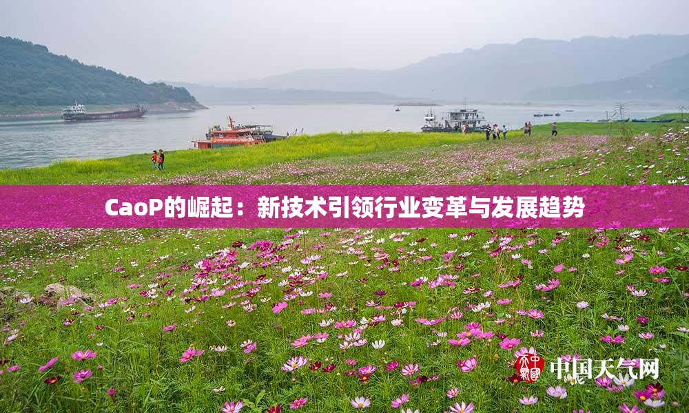 CaoP的崛起：新技术引领行业变革与发展趋势
