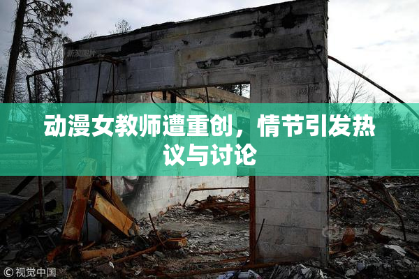 动漫女教师遭重创，情节引发热议与讨论