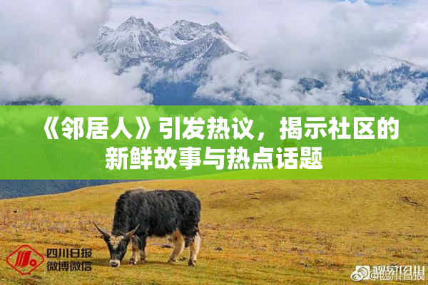 《邻居人》引发热议，揭示社区的新鲜故事与热点话题