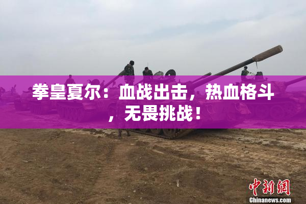 拳皇夏尔：血战出击，热血格斗，无畏挑战！