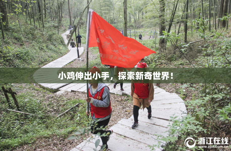 小鸡伸出小手，探索新奇世界！