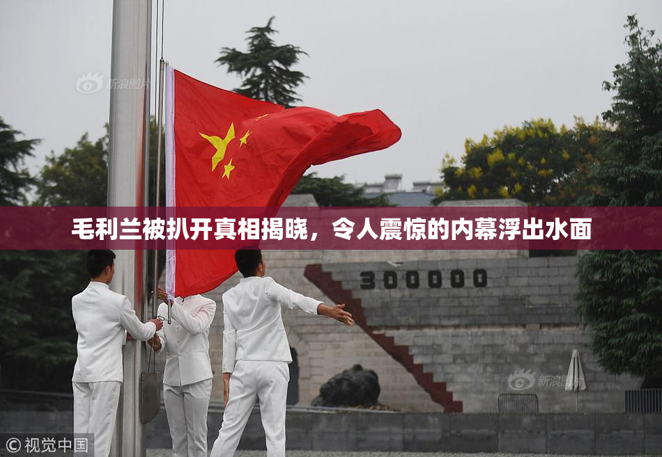 毛利兰被扒开真相揭晓，令人震惊的内幕浮出水面