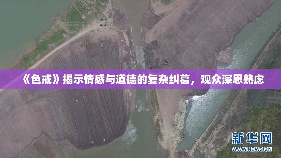 《色戒》揭示情感与道德的复杂纠葛，观众深思熟虑