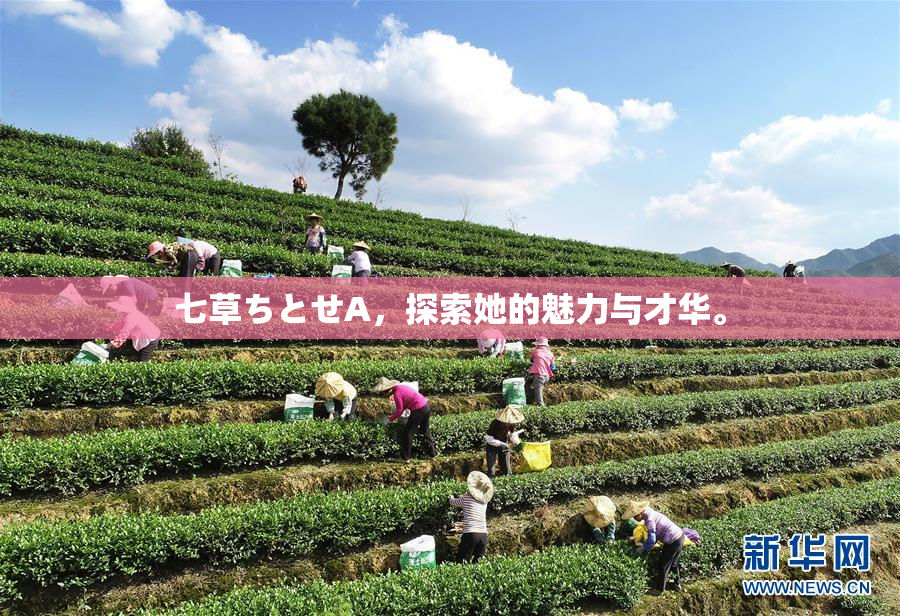 七草ちとせA，探索她的魅力与才华。