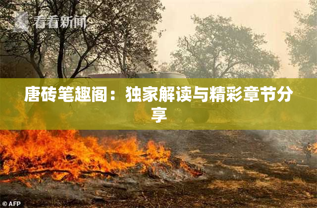 唐砖笔趣阁：独家解读与精彩章节分享
