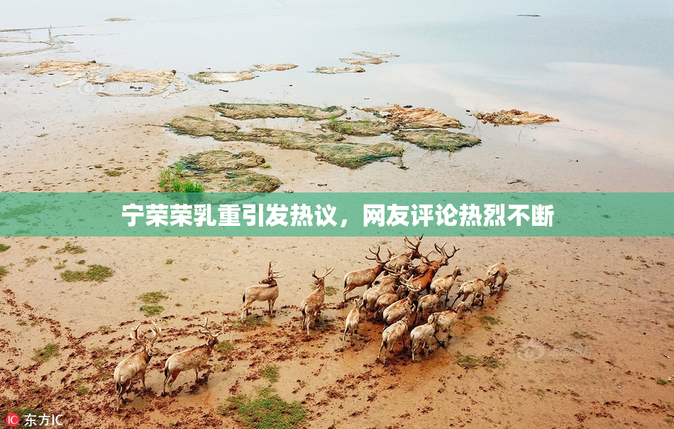 宁荣荣乳重引发热议，网友评论热烈不断