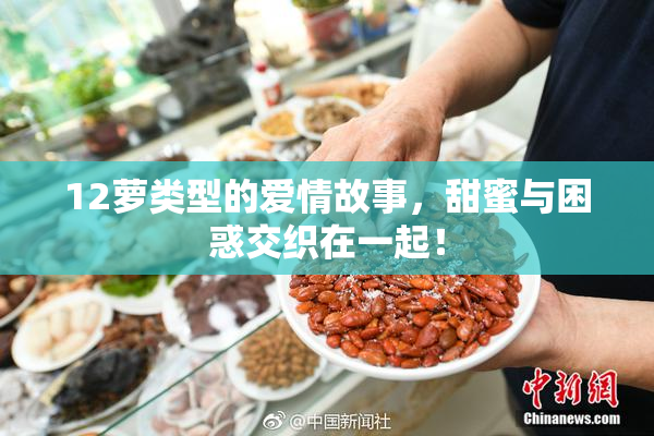 12萝类型的爱情故事，甜蜜与困惑交织在一起！