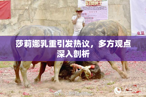 莎莉娜乳重引发热议，多方观点深入剖析