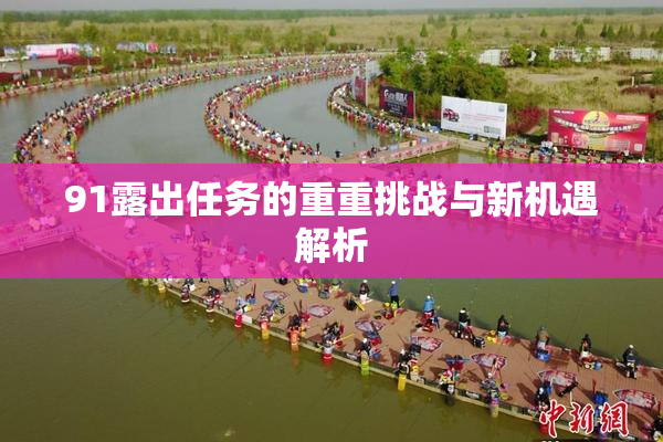 91露出任务的重重挑战与新机遇解析