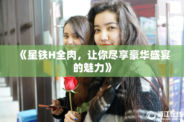 《星铁H全肉，让你尽享豪华盛宴的魅力》