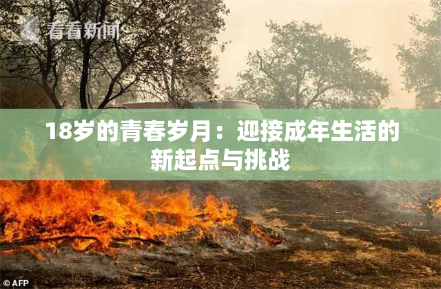 18岁的青春岁月：迎接成年生活的新起点与挑战