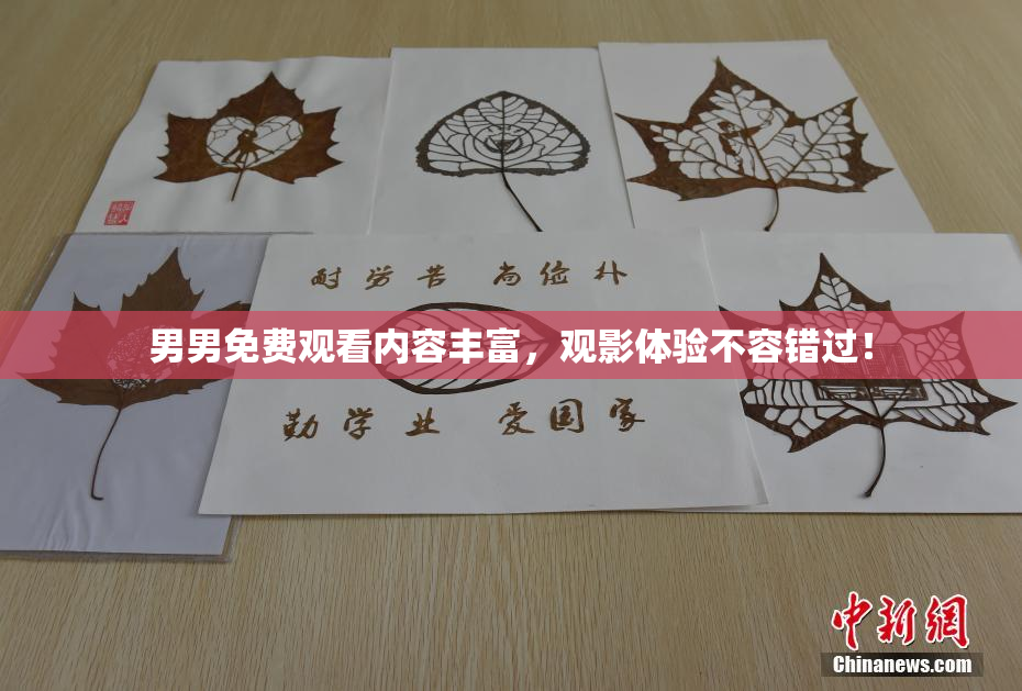 男男免费观看内容丰富，观影体验不容错过！