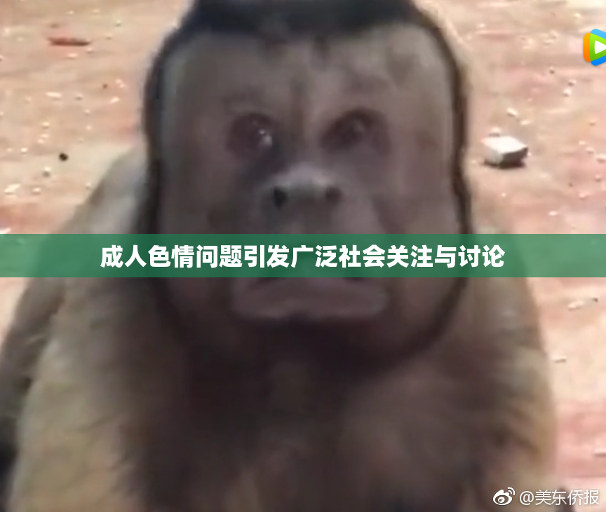 成人色情问题引发广泛社会关注与讨论