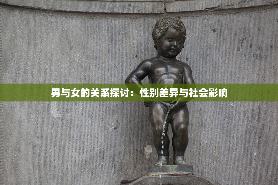 男与女的关系探讨：性别差异与社会影响