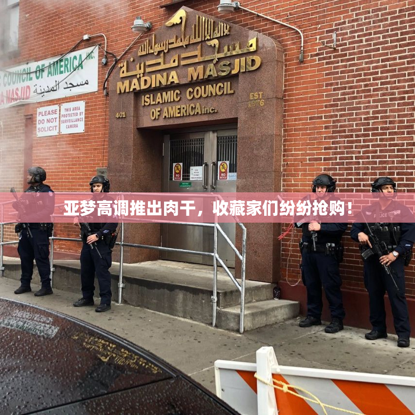 亚梦高调推出肉干，收藏家们纷纷抢购！