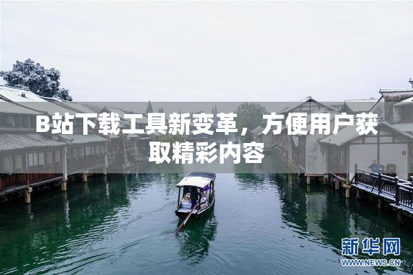 B站下载工具新变革，方便用户获取精彩内容