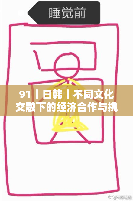 91丨日韩丨不同文化交融下的经济合作与挑战分析