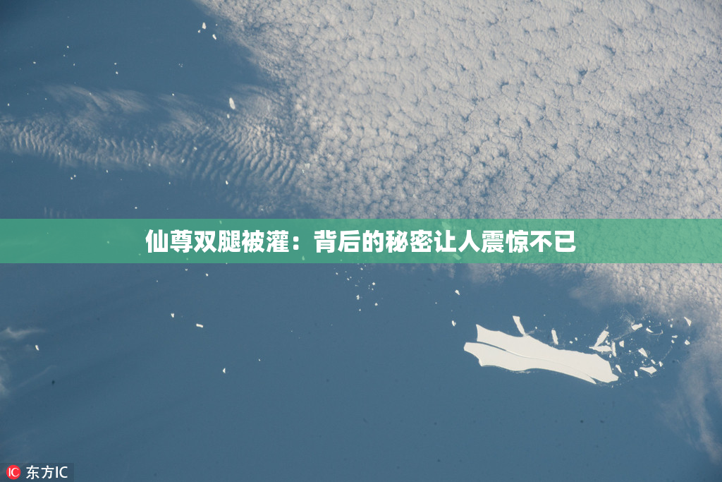 仙尊双腿被灌：背后的秘密让人震惊不已