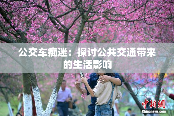 公交车痴迷：探讨公共交通带来的生活影响