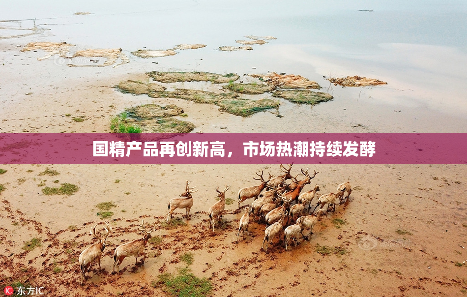 国精产品再创新高，市场热潮持续发酵