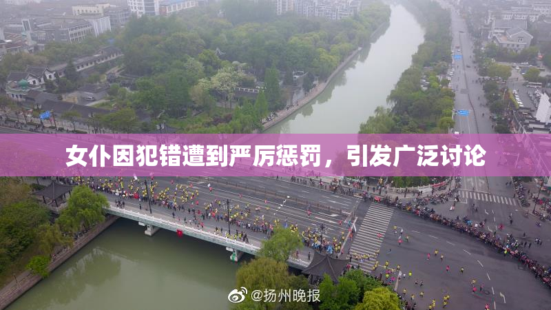 女仆因犯错遭到严厉惩罚，引发广泛讨论