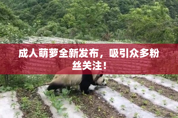 成人萌萝全新发布，吸引众多粉丝关注！
