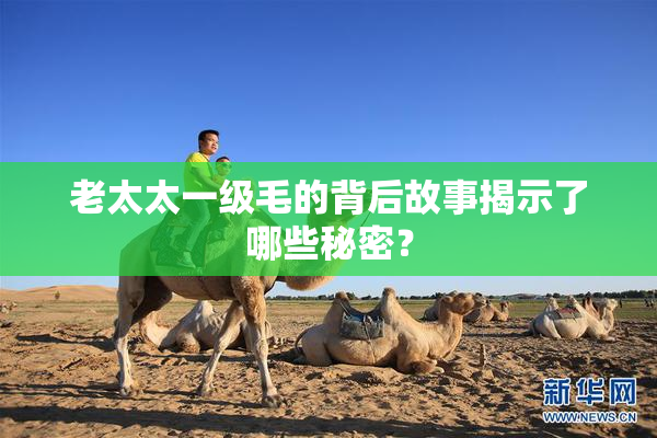 老太太一级毛的背后故事揭示了哪些秘密？