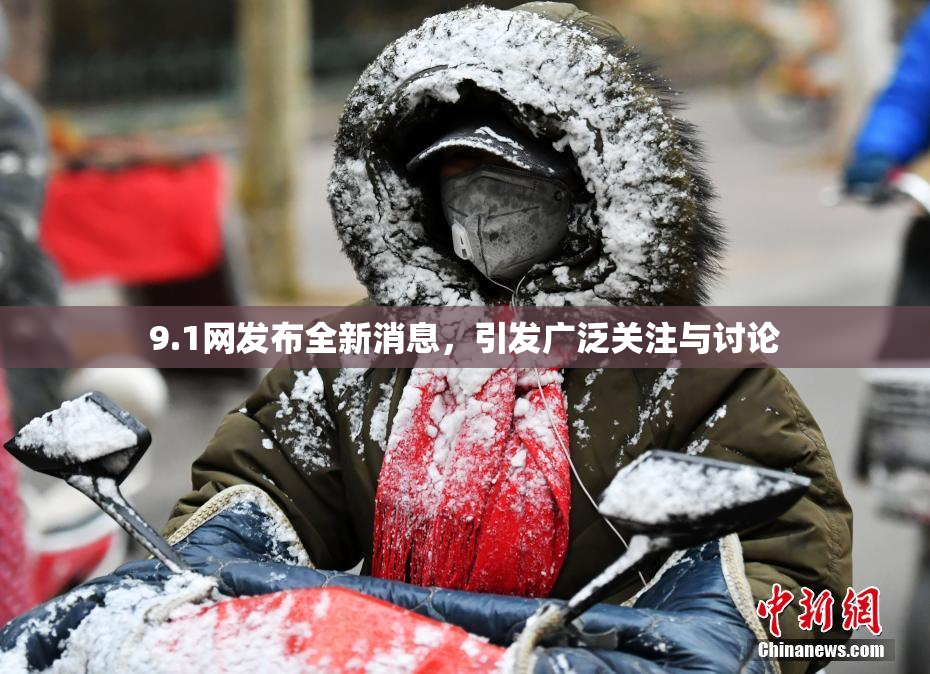 9.1网发布全新消息，引发广泛关注与讨论