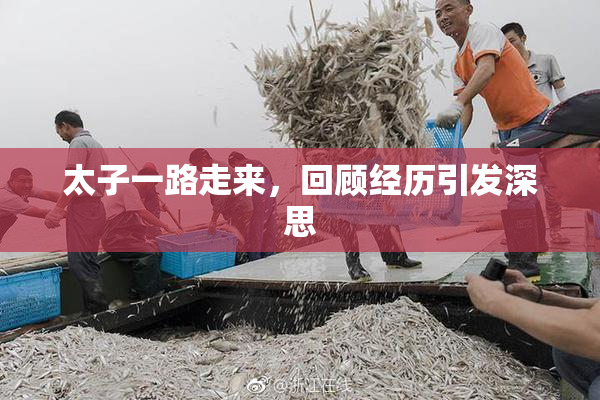 太子一路走来，回顾经历引发深思