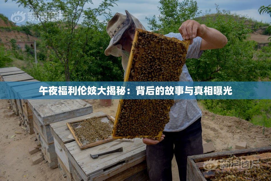午夜福利伦妓大揭秘：背后的故事与真相曝光