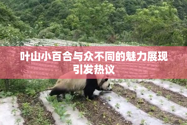 叶山小百合与众不同的魅力展现引发热议