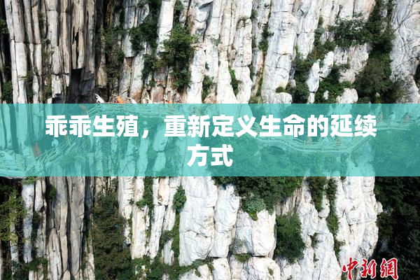 乖乖生殖，重新定义生命的延续方式