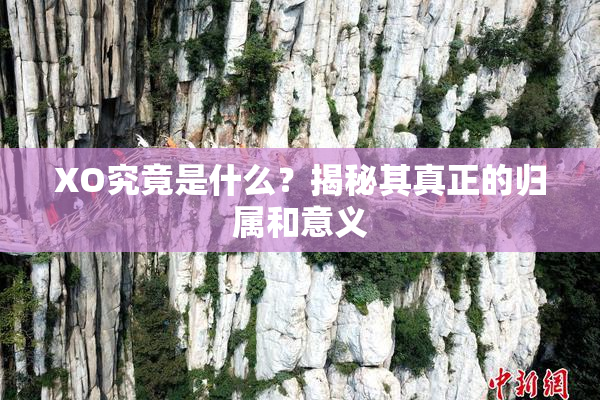 XO究竟是什么？揭秘其真正的归属和意义