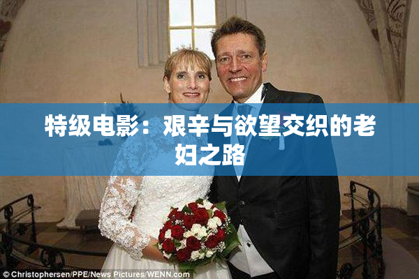 特级电影：艰辛与欲望交织的老妇之路
