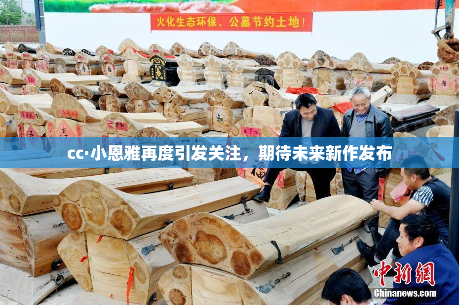 cc·小恩雅再度引发关注，期待未来新作发布