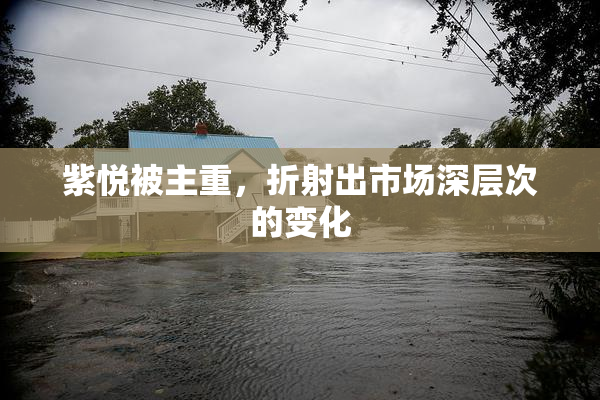 紫悦被主重，折射出市场深层次的变化