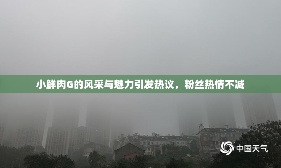 小鲜肉G的风采与魅力引发热议，粉丝热情不减