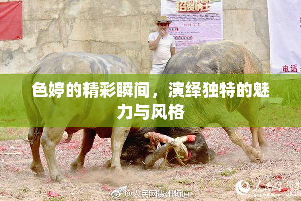 色婷的精彩瞬间，演绎独特的魅力与风格