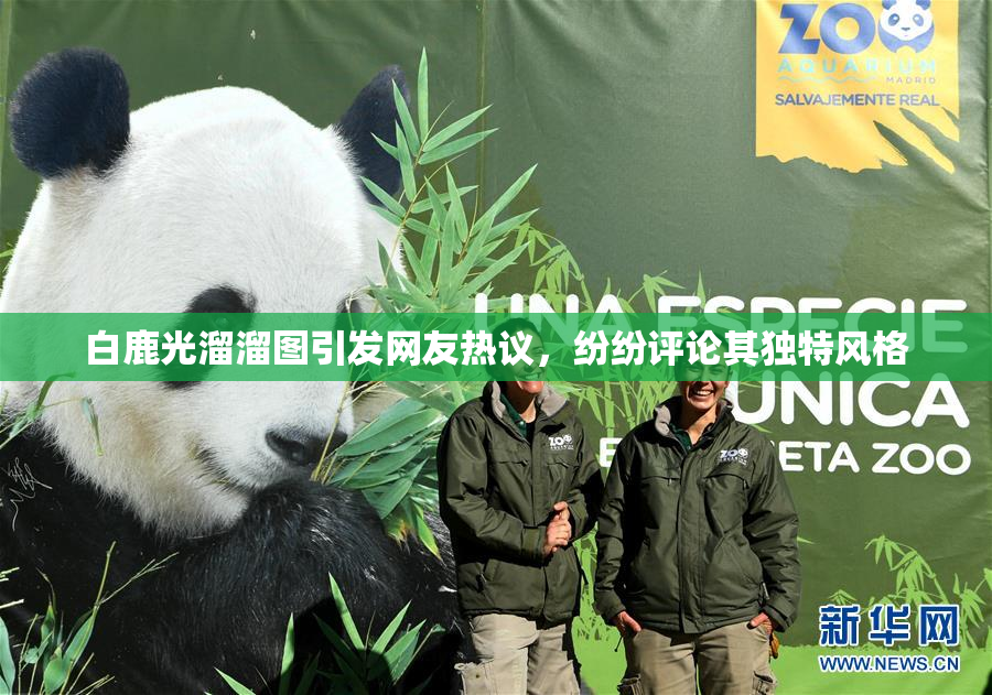 白鹿光溜溜图引发网友热议，纷纷评论其独特风格